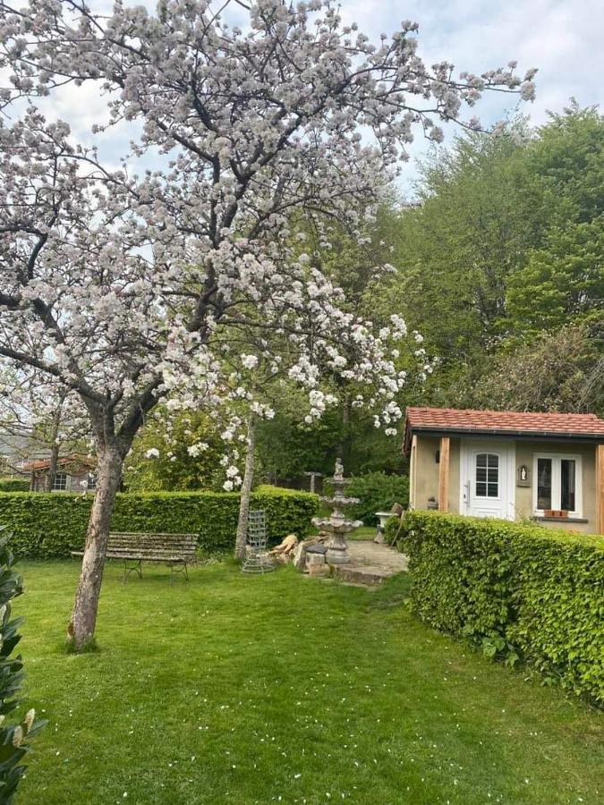 Chez Monsieur Bed and Breakfast Florenville Εξωτερικό φωτογραφία